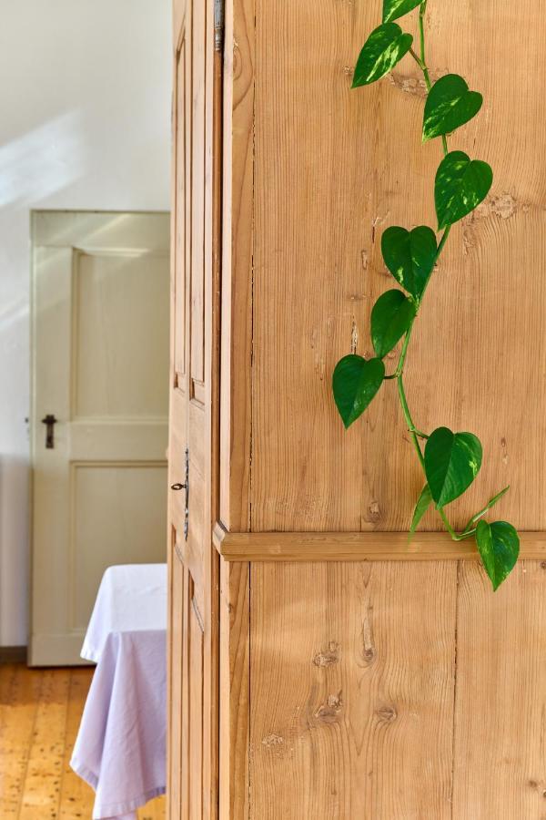 Al Cavour 34 Bed and Breakfast Trento Exteriör bild